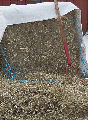 hsilage2015