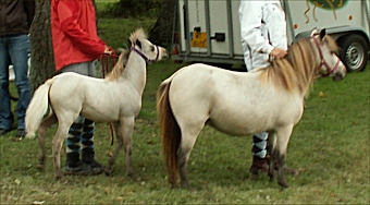 mor och son