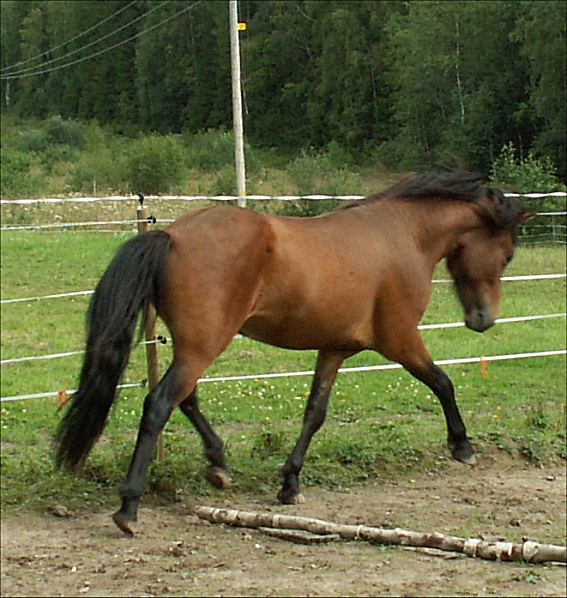 Keilir fr�n Skr�mforsen i Augusti 2010.