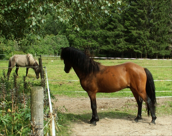 Keilir och Jadar fr�n Skr�mforsen i Augusti 2010.