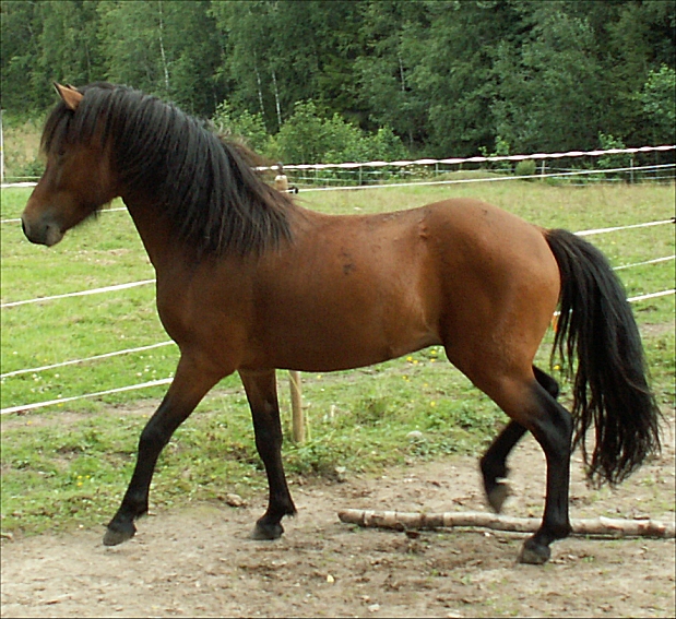 Keilir fr�n Skr�mforsen i Augusti 2010.