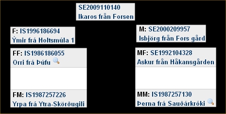 Ikaros från Forsen