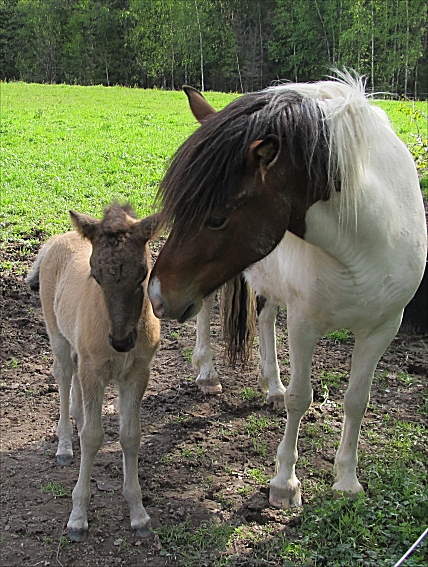 Eyja och Dottla 2011