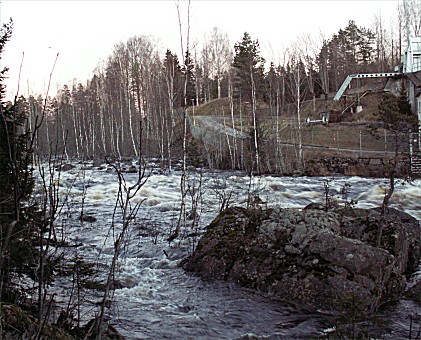 Skrmforsen in springtime