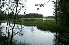 Angsjleden