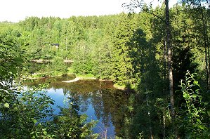 Svartlven where Svartlven and Skrmforsen is situated