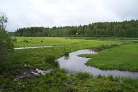 Fisksjleden