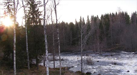 Skrmforsen