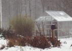 vinterväxthus greenhouse